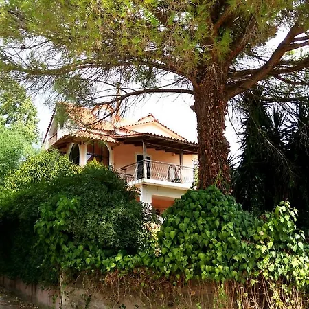Lakis House Laganas 1st Floor In An Olive Field * Pandokrátor