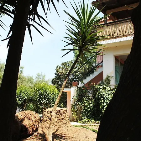 Lakis House Laganas 1st Floor In An Olive Field * Pandokrátor